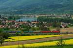 ber eine Autobahnbrcke fhrt der Gterzug mit einer Re 4 4 II und einer Re 6 6 vorbei an blhenden Rapsfeldern.