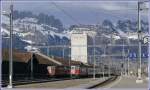 Whrend halb Europa und vor allem auch die Sdschweiz im Schnee versinken, herrschen dank Fhnsturm im St.Galler Rheintal frhlingshafte Temperaturen.