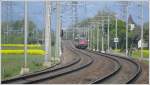 RE3811 mit Re 4/4 II 11245 zwischen Bad Ragaz und Maienfeld. (03.05.2009)