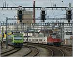 Die Re 4/4 II 11144 erreicht mit dem spanischen EN 273 Pau Casal (Barcelona - Zürich) Fribourg.