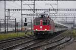 Mit goldener Bauch binde : Re 4/4 II 11181 trgt stolzer Brust das Schweizer-Kreuz durch den Alpenstaat Richtung Basel.