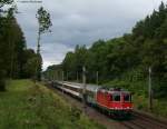 Re 4/4 11159 mit dem ICE 282 (Zrich HB-Stuttgart Hbf) bei Gottmadingen 15.8.10