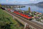 Re 4/4 II 11321 und Re 6/6 11620 fahren am 21.01.10 mit einem Containerzug von Einigen Richtung Spiez.