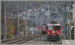 Die kleine Rote ganz gross in Chur Wiesental.