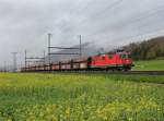 Die Re 4/4 11264 mit einem Gterzug am 24.04.2012 unterwegs bei Oensingen.