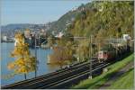 Kontrastreicher Herbst (I): Vom Sonnenlicht bunt beleuchtet strebt der von zwei Re 4/4 II gezogene  Spaghetti -Zug sdwrts.