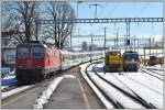 IR2416 Voralpenexpress mit Re 4/4 II 11153 in Samstagern.