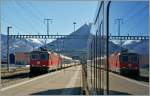 Die SBB Re 4/4 II 11217 erreicht mit ihren IR 2159 von Basel nach Locarno Cadenazzo, wo sich sich im Anschlusszug nach Luino spiegelt.