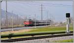 RE3817 Rheintal-Express von St.Gallen nach Chur bei Zizers. Das Gleis im Vordergrund ist die RhB Strecke Igis-Zizers. (02.04.2013)