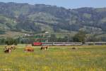 Eine Re 4/4 mit einem Rheintalexpress am 18.05.2013 bei Altsttten.