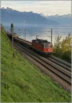 Re 4/4 II 11297 mit eine Gterzug bei St-Saphorin. Die sonst bei einigen nicht so beliebten Flachwagen bieten eine ungestrte Sicht auf den See.
17. Okt. 2012