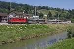 Die Schafe lassen sich durch die Vorbeifahrt der Re 4/4 II 11135 mit dem „RHEINTAL-EXPRESS“ RE 3815 nicht bei der Bschungspflege des Rheintaler Binnenkanals stren (Au SG, 08.06.2013).