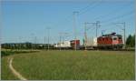 SBB Re 4/4 II 11225 mit einem Gterzug Richtung Biel/Bienne bei Pieterlen.
31. Juli 2013