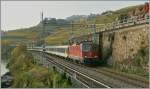 SBB Re 4/4 II 11135  mit einem RE nach St-Maurice zwischen Rivaz und St-Saphorin.