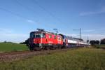 420 205-7 zwischen Marthalen und Dachsen am 22.10.2013