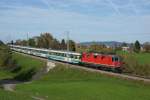 Re 4/4 II 11194 befindet sich am 26.10.2013 mit dem Voralpen-Express 2419 unterhalb von Samstagern.