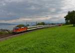 Re 4/4 11172 mit einem IR nach Zrich am 01.09.2014 bei Horgen Oberdorf.