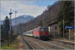 Die SBB Re 4/4 II 11129 schiebt ihren IR 3317 bei Preglia Richtung Domodossola.