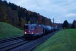 SBB: Durch die Umstellung auf die Winterzeit sind die Herbsttage noch einmal kürzer geworden. Mit einem schweren Kesselwagenzug mit der Re 4/4 11311 wurde dies am 29. Oktober 2015 um 17.44h zwischen Wangen an der Aare und Niederbipp dokumentiert.
Foto: Walter Ruetsch