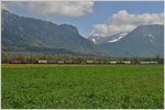 Re 4/4 II 11334 zwischen Landquart und Maienfeld. Das Skigebiet von Grüsch-Danusa hat in den letzten Tagen nochmals Schnee bekommen. (19.04.2016)