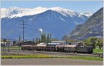 Die grüne Re 4/4 II 11309 bei Zizers mit dem verschneiten Dreibündenstein im Hintergrund. (20.04.2016)