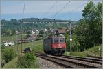 Die SBB Cargo Re 420 169-5 kurz nach der Haltestelle Bossière auf Bergfahrt. 26. Mai 2016