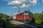 Re 4/4 II 11190 durchfährt am 18. Juli 2016 mit einem kurzen Containerzug den Bahnhof Ligerz. Zu beachten gibt es auf dem Bild zudem das Vorsignal, welches entgegen der Fahrtrichtung offen ist.