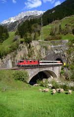 IC 2332 Locrano - Basel SBB auf der Reussbrücke bei Wassen mit  Motiv-Schafen .