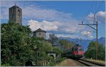 Die SBB Re 4/4 II 11158 erreicht mit ihrem IR 2421 von Zürich nach Locarno in Kürze ihr Ziel.
20. Sept. 2016