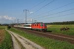 Re 4/4 II 11128 zieht am 01.09.2016 den IR 2831 von Schaffhausen Richtung Zürich. Das Foto wurde kurz vor Niederglatt aufgenommen.