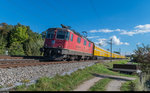 Re 4/4 II 11187 mit einem Postzug bei Baltenswil.