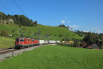 11256 & 620 007 pass Steinen whilst working freight 62776 from Cadenazzo to RBL E-Gruppe, 30 Sept 2016