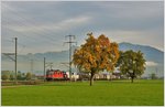 Güterzug mit Re 4/4 II 11257 in der March zwischen Schübelbach-Buttikon und Siebnen-Wangen.