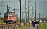 420 310-5 und Re 4/4 II 11236 zwischen Siebnen-Wangen und Schübelbach-Buttikon. (24.10.2016)