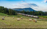 SBB Cargo Re 420 257 / Palézieux, 27. Juli 2024<br>
WLV-Zug 50321 Lausanne-Triage - Estavayer-le-Lac.<br>
Aufgrund von Bauarbeiten in Chavornay wurde der Zug an diesem Samstag durch das Broyetal umgeleitet.