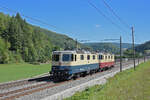 Doppeltraktion, mit der Re 421 387-2 im Rheinglod Look und der Re 421 393-0 im TEE Look fahren Richtung Bahnhof Gelterkinden.