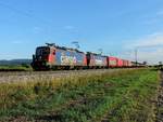 Schutterwald - 07.08.17 : Re 421 375 mit DGS 48620 Novelis Leeraluzug.