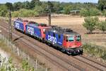 SBB 421 377 + 482 038 + 482 048  Wiesental  06.09.12