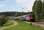 Re 421 383-1 mit dem DLr 93081 (Augsburg Hbf-Singen (Htw) bei Peterzell 21.5.11