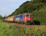 421 387-2 mit geschlossenen ARS-Autotransportwagen in Fahrtrichtung Süden.