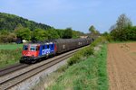 Eine Schweizerin in der Oberpfalz - der Mietvertrag bezüglich 15 Re 4/4 der SBB Cargo, die für TXLogistik fuhren, machte dies möglich.