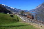 Re 425 178 mit einem Autozug am 11.03.2017 bei Unterterzen.