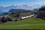 BLS Re 425 178 ist am 01.03.2021, mit bereits fehlenden Wappen, unterwegs  von Visp nach Antwerpen und konnte vor dem Bergpanorama bei Einigen/Spiez aufgenommen werden.