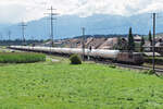 BLS Re 425 184 mit dem Gasleermaterialzug Visp-Basel bei Wichtrach am 23.