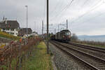 Zuckerrübentransporte per Bahn.