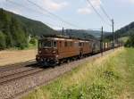 Die Re 425 181, die Re 425 172 und die Re 465 009 mit einem Containerzug am 28.06.2011 unterwegs bei Tecknau.