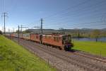 Re 425 180  Neuchatel  und die Re 425 167  Ausserberg  fahren mit einem langen Containerzug bei Reichenburg vorüber.Bild vom 22.4.2015