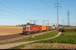 [Archiv] Am 19.09.2019 ist SBB Cargo Re 430 352-5 unterwegs mit einem Güterzug in Richtung Basel und konnte hier an der Bözberg-Achse bei Möhlin aufgenommen werden.