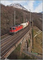 Die Re 4/4 III 11350, ex SOB, der einzigen SBB Re 4/4 III mit nur einem Pantographen, mit einen Güterzug Richtung Domodossola kurz vor Preglia auf der Simplon Südrampe.