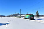 Re 446 016 mit einem VAE am 05.02.2019 bei Biberbrugg.